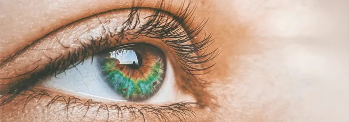 FC – Presbyopia Treatment at Dau Family Eye Care, Saint Johns, FL and Fruit Cove FL